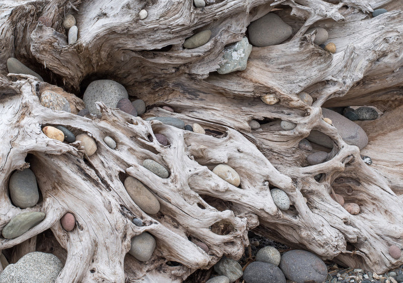 Limited Drifted Collection - Drop Earrings